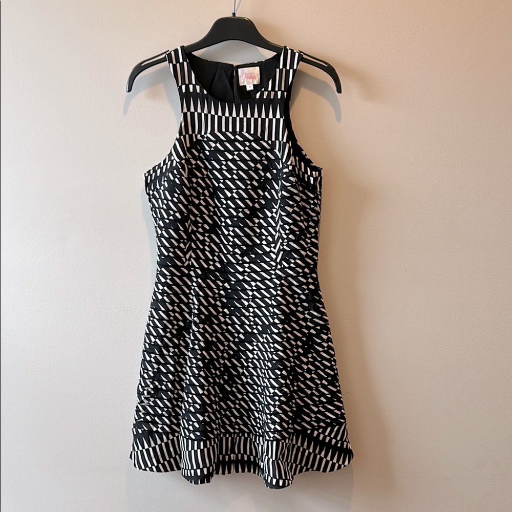 Parker Black and White Fit and Flare Mini Dress